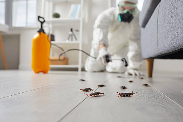 Commercial Kitchen Cockroach Control in Yoe
